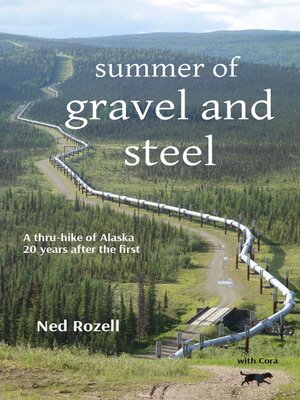 cover image of summer of  gravel and steel